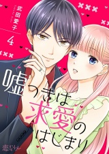 嘘つきは求愛のはじまり 4 パッケージ画像