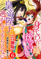 身代わり婚の後宮妃は皇帝陛下に逃がしてもらえない【合冊版】6 パッケージ画像