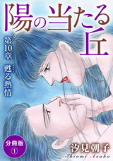 陽の当たる丘　分冊版27 パッケージ画像