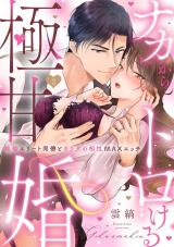 【ラブパルフェ】ナカからトロける極甘婚～絶倫エリート同僚とカラダの相性MAXエッチ　2 パッケージ画像