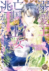 【分冊版】溺愛王は亡国の王女を逃がさない〜ふしだらな蜜月と高潔の契り〜1 パッケージ画像