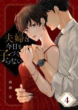 夫婦は今日も子づくらない4 パッケージ画像