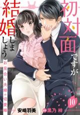 【分冊版】初対面ですが結婚しましょう〜お見合い夫婦の切愛婚〜10話 パッケージ画像