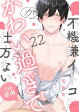 不機嫌イトコがかわい過ぎて仕方ない(22)　side直樹 パッケージ画像