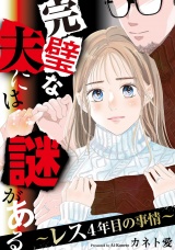 完璧な夫には謎がある〜レス4年目の事情〜（１） パッケージ画像