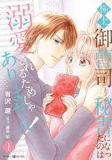 極上御曹司の秘書になったのは溺愛されるためじゃありません！１ パッケージ画像