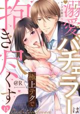 【ラブパルフェ】溺愛バチェラーは極上テクで抱き尽くす～セレブな彼の肉食Hなオスの顔　12 パッケージ画像