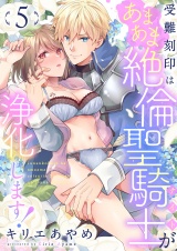 受難刻印はあまあま絶倫聖騎士が浄化します！(5) パッケージ画像