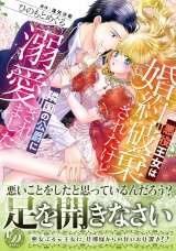 悪役王女は婚約破棄されたけど隣国の公爵に溺愛されました パッケージ画像表