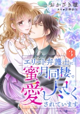 【分冊版】エリート弁護士に蜜月同棲で愛し尽くされています3話 パッケージ画像