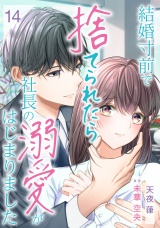 【分冊版】結婚寸前で捨てられたら社長の溺愛がはじまりました14話 パッケージ画像
