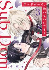 グッドボーイ、抱いていいですよ 分冊版（第3話） パッケージ画像