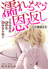 濡れちゃう恩返し～もふかわ男子を拾いました！合冊版3 パッケージ画像