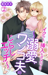 イクのも、挿入もダメだよ？～溺愛ワンコ夫のじらしエッチ～2 パッケージ画像