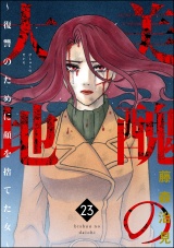 美醜の大地〜復讐のために顔を捨てた女〜 （23） パッケージ画像