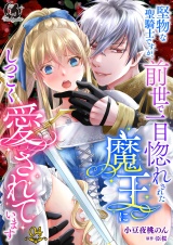 堅物な聖騎士ですが、前世で一目惚れされた魔王にしつこく愛されていまする【短編】4 パッケージ画像