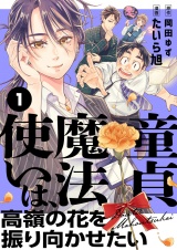 童貞魔法使いは、高嶺の花を振り向かせたい(1) パッケージ画像