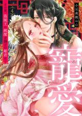 寵愛～その夜、盗賊王に純潔を捧げた姫君は～【単話】 4 パッケージ画像