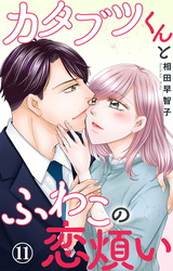 カタブツくんとふわこの恋煩い11 パッケージ画像