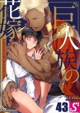 巨人族の花嫁43 パッケージ画像