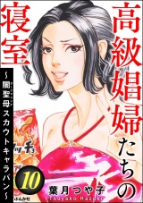 高級娼婦たちの寝室 〜闇聖母スカウトキャラバン〜 (10) パッケージ画像表