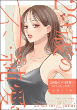 29歳の不・純愛 〜あなたが恋しいだけだった〜 （4） パッケージ画像