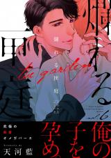 爛れる匣庭6 パッケージ画像