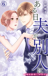 ある日夫が別人に～連日連夜注がれて～6 パッケージ画像