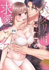 スパダリ不動産王の求愛セックス～熱い愛撫でナカまでとろけて…【単行本版】【電子限定描き下ろし漫画付き】 パッケージ画像