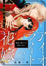 アイオライトの花嫁～簒奪の獅子王と無垢の皇子～(3) パッケージ画像