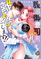 腹黒御曹司の蜜愛妻になりましたが、やっぱり全力で離婚します!! パッケージ画像