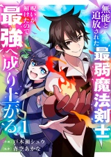 無能と追放された最弱魔法剣士、呪いが解けたので最強へ成り上がる【電子単行本版】１ パッケージ画像