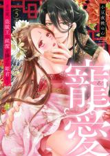 寵愛～その夜、盗賊王に純潔を捧げた姫君は～【単話】 5 パッケージ画像