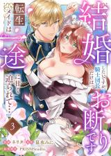 結婚したいですが、騎士団長だけはお断りです 〜転生メイドは一途に甘く迫られて…(3) パッケージ画像