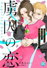 虜囚の恋～お世話していた騎士団長に溺愛されてるようです～【単行本版】3 パッケージ画像