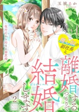 推し似の副社長と離婚するつもりで結婚します〜塩対応から始まる溺愛婚〜（２） パッケージ画像