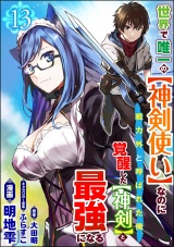 【分冊版】世界で唯一の【神剣使い】なのに戦力外と呼ばれた俺、覚醒した【神剣】と最強になる コミック版 【第13話】 パッケージ画像
