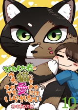 ひねくれ者のウチの猫をそれでも愛さずにはいられない 【せらびぃ連載版】（10） パッケージ画像