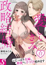愛しいきみと、政略結婚～いじっぱり夫婦、初夜から子づくり始めます17 パッケージ画像