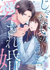 じゃない方、だけど愛され婚～契約婚の相手は一途すぎる社長5 パッケージ画像