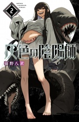 灰色の陰陽師　2 パッケージ画像