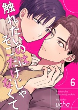 触れたいのはそこだけじゃなくて 6 パッケージ画像