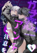 ガチ恋アンチにご注意を　act.4 後編 パッケージ画像
