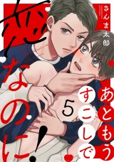あともうすこしで恋なのに！　act.5 パッケージ画像
