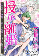 授か離婚～一刻も早く身籠って、私から解放してさしあげます！【合冊版】13 パッケージ画像