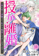 授か離婚～一刻も早く身籠って、私から解放してさしあげます！40 パッケージ画像