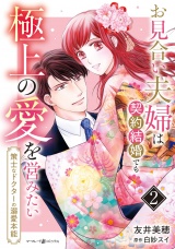 お見合い夫婦は契約結婚でも極上の愛を営みたい〜策士なドクターの溺愛本能〜2 パッケージ画像