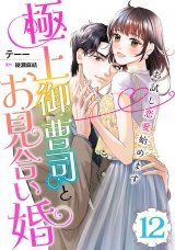 【分冊版】極上御曹司とお見合い婚〜お試し恋愛始めます〜12話 パッケージ画像