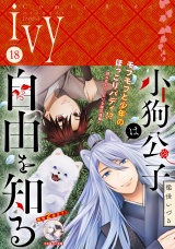 コミックライドアイビー vol.18 パッケージ画像