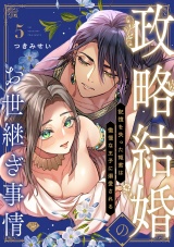 【ラブチーク】政略結婚のお世継ぎ事情〜記憶を失った姫君は傲慢な王子に溺愛される〜　act.5 パッケージ画像